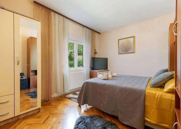 Lotus トロギール